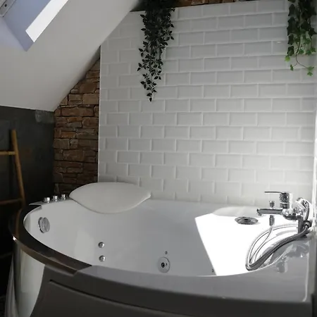 Apartment Canopy Duplex Family Climatise Balneo Gare Rouen