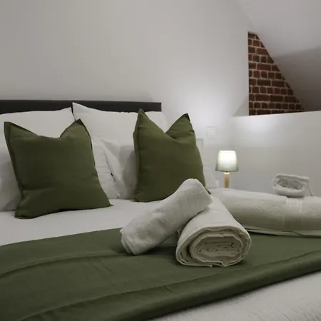Apartment Canopy Duplex Family Climatise Balneo Gare Rouen