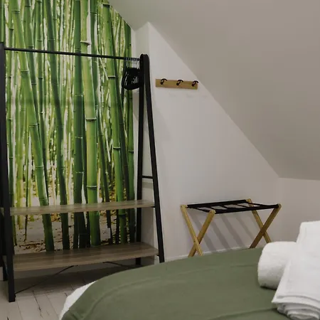 Apartment Canopy Duplex Family Climatise Balneo Gare Rouen